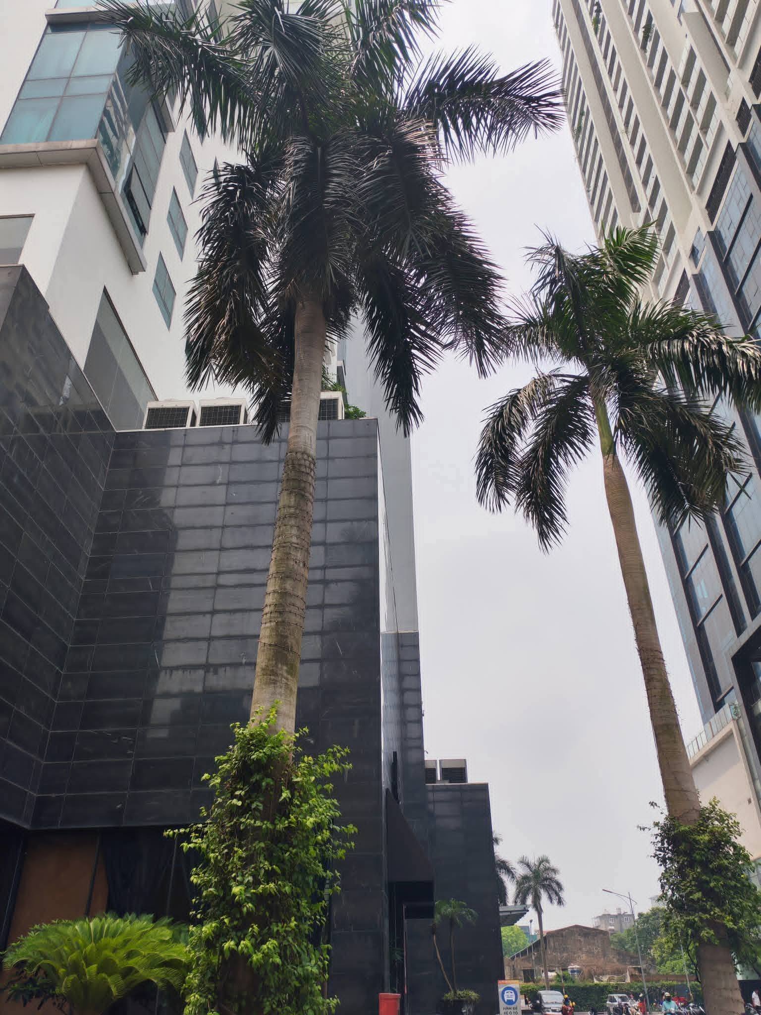Продаётся квартира, 3 спальни, 112 м², Thanh Xuân