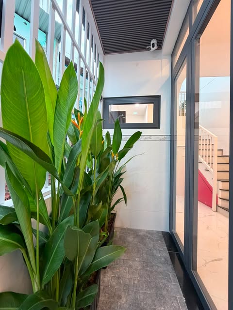 Bán nhà riêng, 1 PN, 24 m², Bình Thạnh
